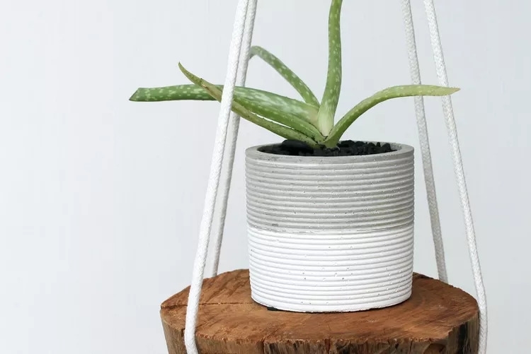 15 Charming DIY Hanging Plant Holders for Indoor and Outdoor Gardens