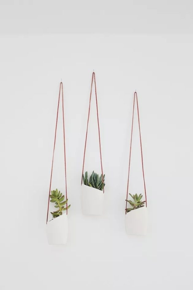 15 Charming DIY Hanging Plant Holders for Indoor and Outdoor Gardens
