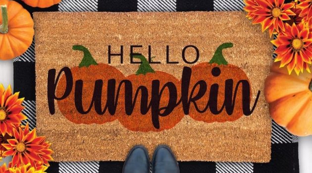 15 Charming Fall Doormat Ideas to Greet Autumn with Style