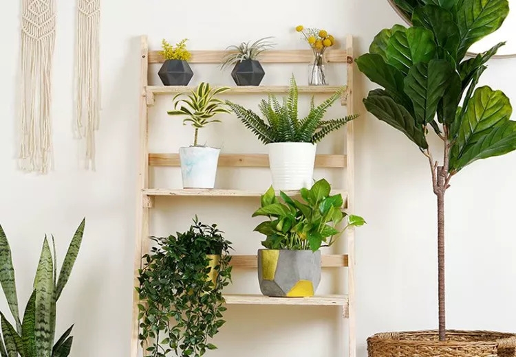 15 Whimsical DIY Plant Stand Ideas for a Botanical Wonderland