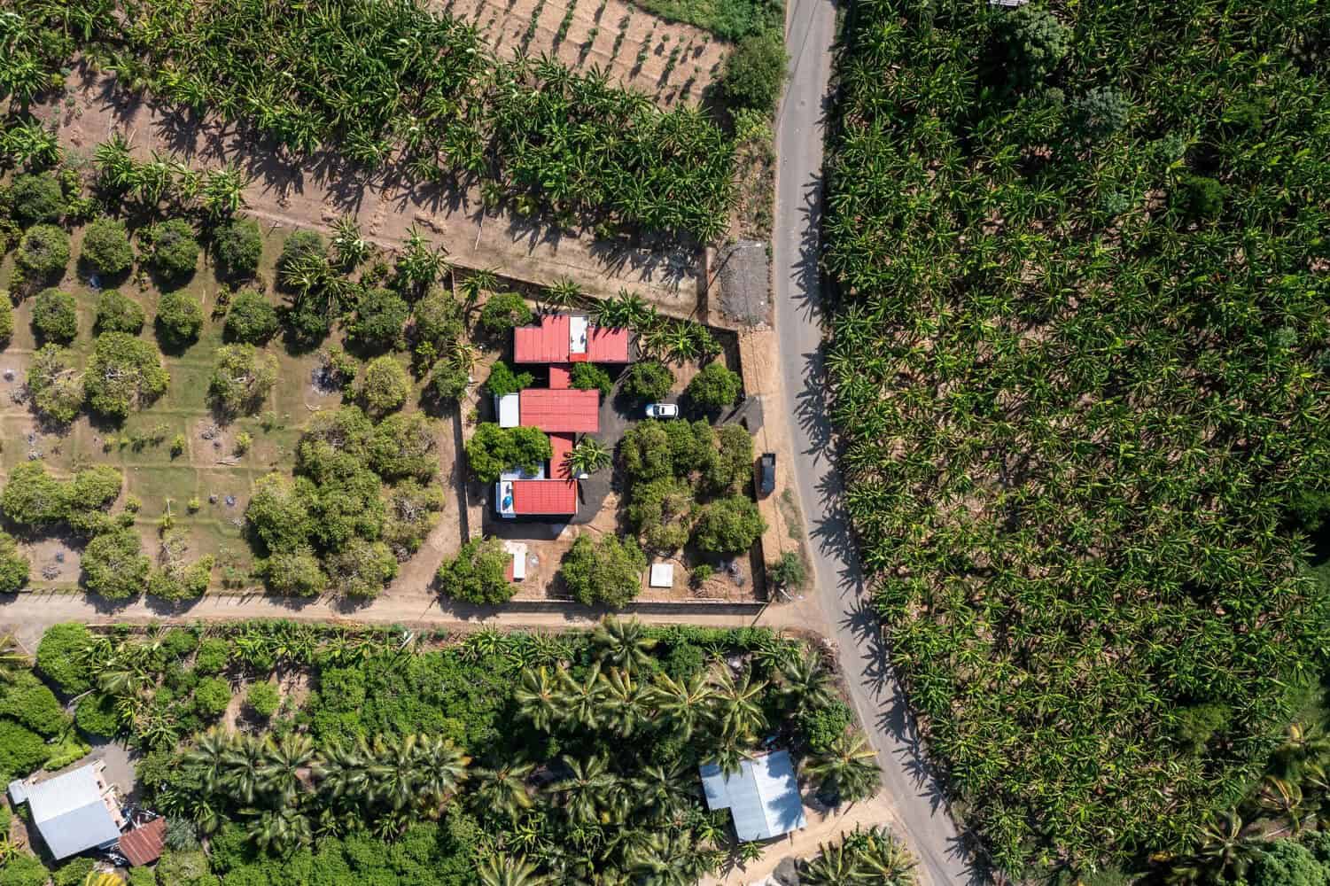 El Limonar House / Termopolio Arquitectura / Ecuador El Limonar House / Termopolio Arquitectura / Ecuador