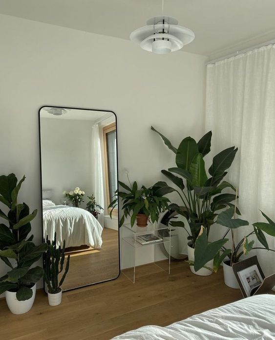Expert Tips for Choosing and Caring for Bedroom Plants