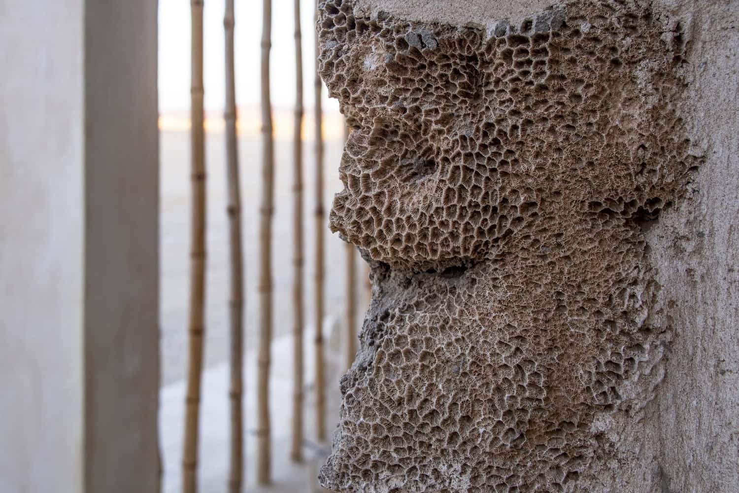 Breathing Beach House by Karm Architecture Lab: A Living Structure Shaped by Desert and Sea Breathing Beach House by Karm Architecture Lab: A Living Structure Shaped by Desert and Sea