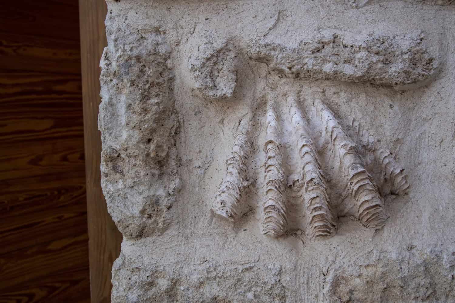 Breathing Beach House by Karm Architecture Lab: A Living Structure Shaped by Desert and Sea Breathing Beach House by Karm Architecture Lab: A Living Structure Shaped by Desert and Sea