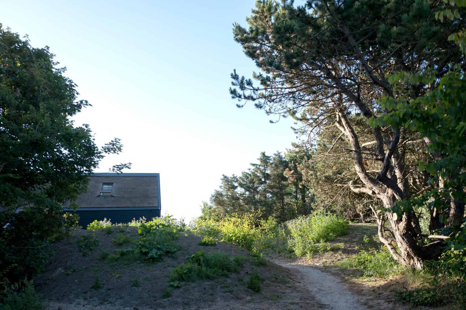 Grassy hillside with a path, surrounded by tall trees and bushes, blue sky overhead, showcasing natural landscape and scenic outdoor environment.
