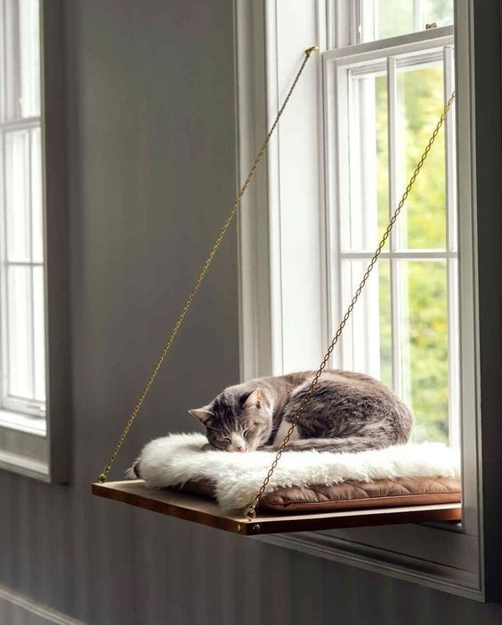 A Guide to Pet-Friendly Decor in Every Corner of Your Home