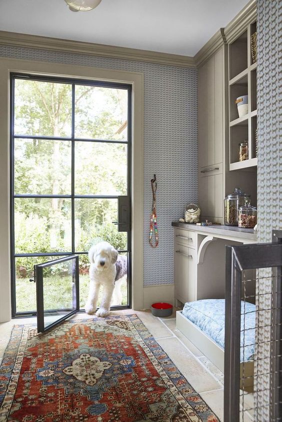 A Guide to Pet-Friendly Decor in Every Corner of Your Home