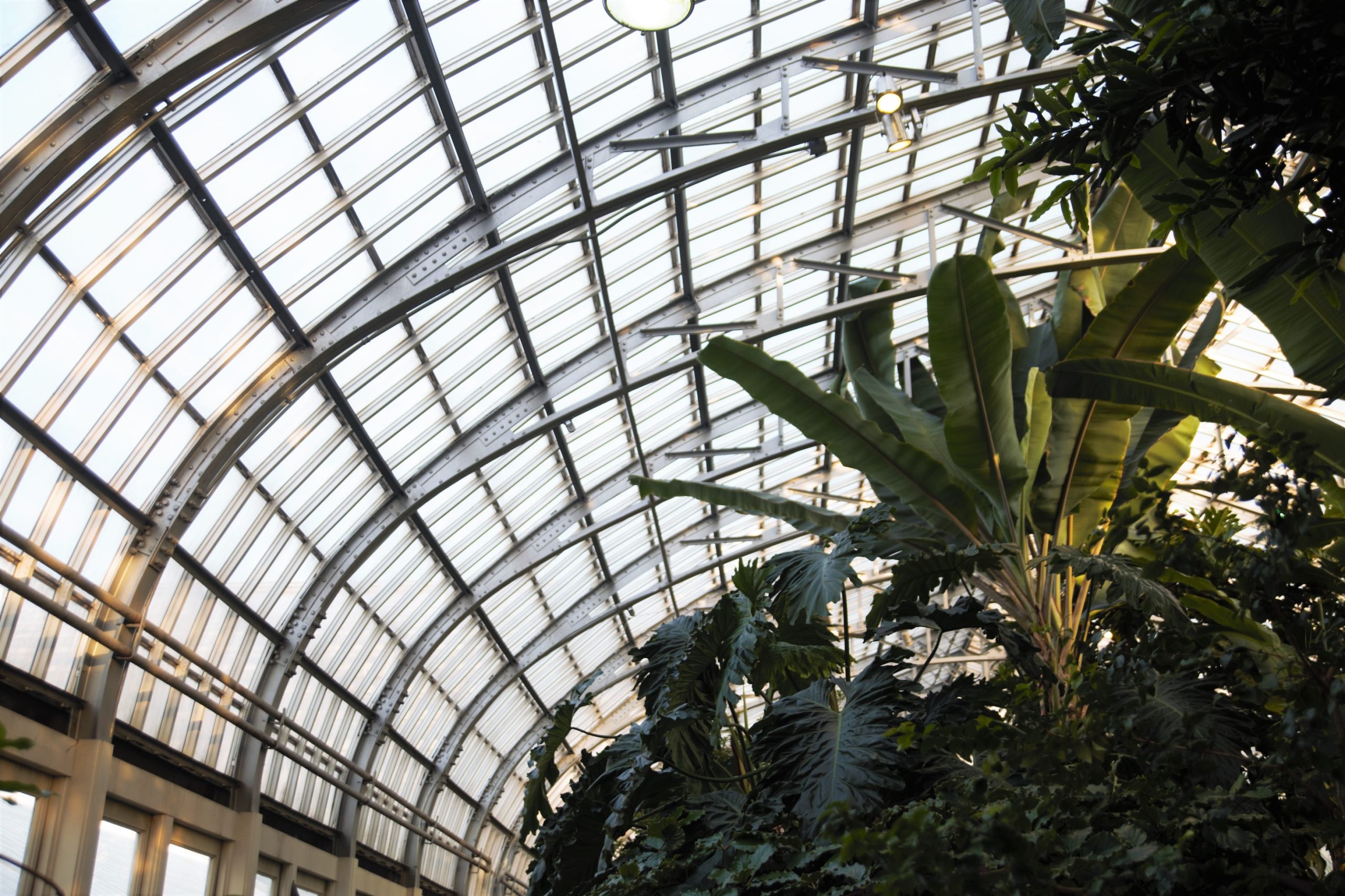 Conservatory Upkeep and Maintenance: The Dos and Don'ts