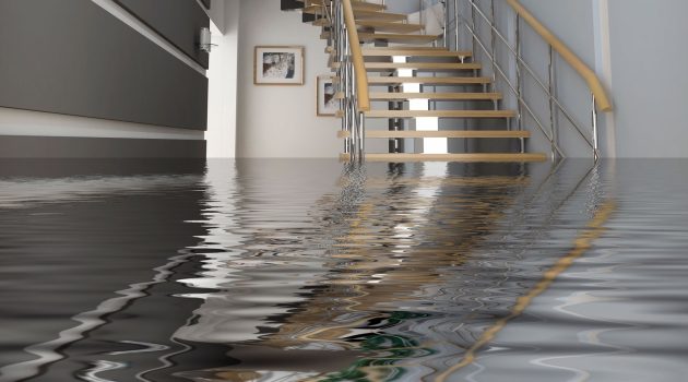 10 Essential Tips to Avoid Water Damage in Your Home or Business