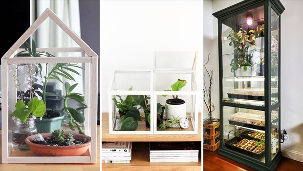 15 Inspiring DIY Greenhouse Ideas for Plant Enthusiasts