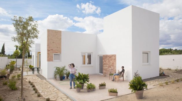 House for a Family of Cats and Dogs by AFAB in Baeza, Spain