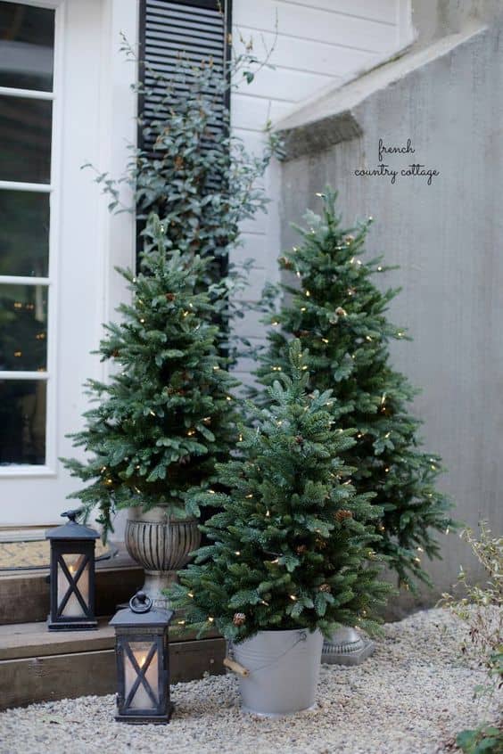 Unique Ideas for Decorating Your Outdoor Trees this Christmas
