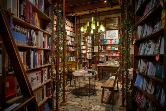 Explore the 5 World’s Most Enchanting Bookstores that Ignite Your Imagination