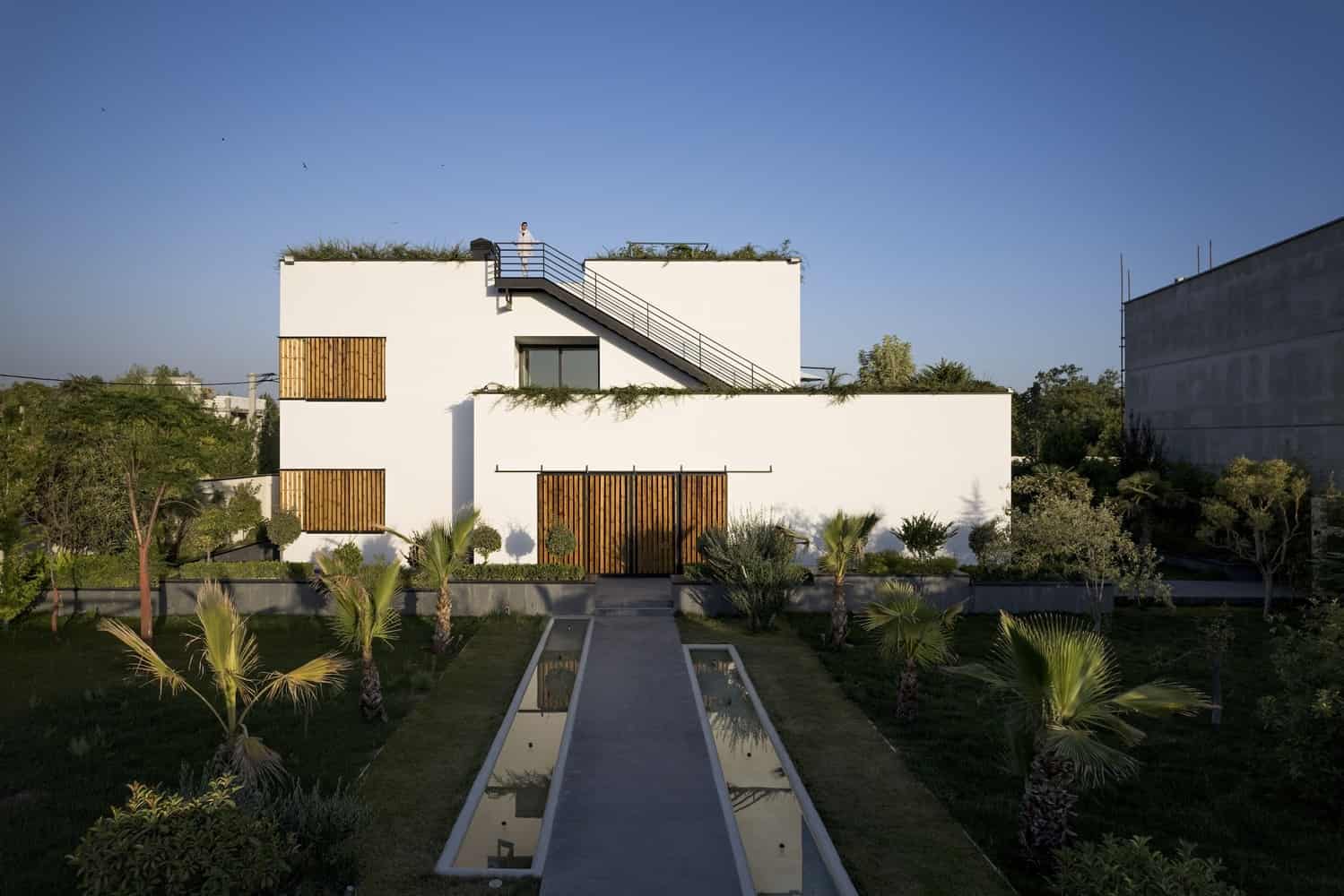 Contemporary modern house with minimalist white facade, wooden accents, rooftop terrace, and lush landscaped garden with palm trees and water feature, showcasing innovative architecture and sleek design.
