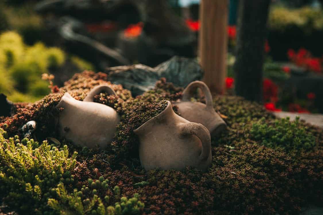 Make Your Garden More Beautiful: A How To Guide