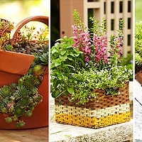 15 Creative DIY Garden Projects to Blossom Your Spring