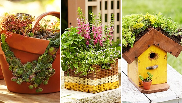 15 Creative DIY Garden Projects to Blossom Your Spring