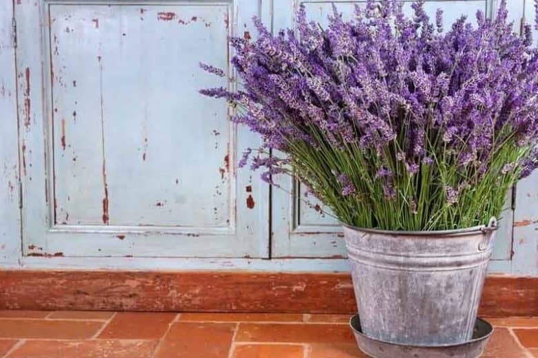13. Beautiful DIY Lavender Tub Porch Decor for Spring