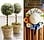 14 Delightful DIY Spring Decor Ideas to Refresh Your Space