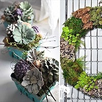 15 Fresh DIY Spring Decor Projects to Revitalize Your Home
