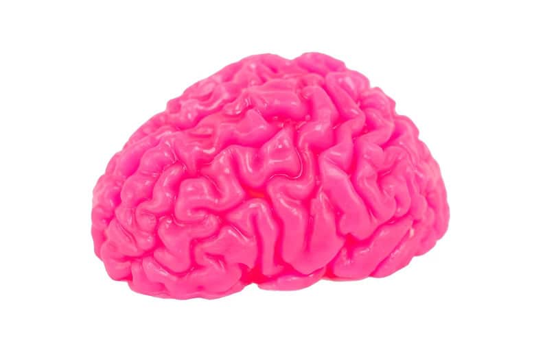 7. Brain Sculpture