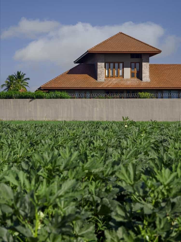 Courtyard as Heart Central courtyard with stone paving, shaded edges, and openings to living rooms.