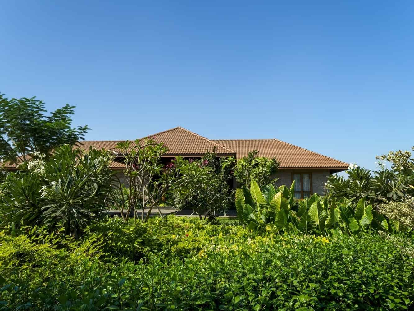 Modern residential house with tropical garden and lush greenery, under a clear blue sky, showcasing contemporary architecture and landscape design elements.