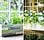 15 Charming DIY Window Flower Box Designs for Gardening