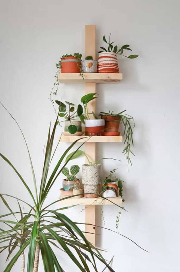 15 DIY Plant Stand Designs to Elevate Your Greenery