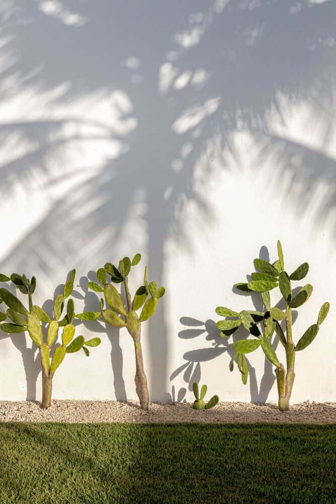 Sussurro House | Davide Andracco Architetto | São Miguel do Gostoso, Brazil Sussurro House | Davide Andracco Architetto | São Miguel do Gostoso, Brazil