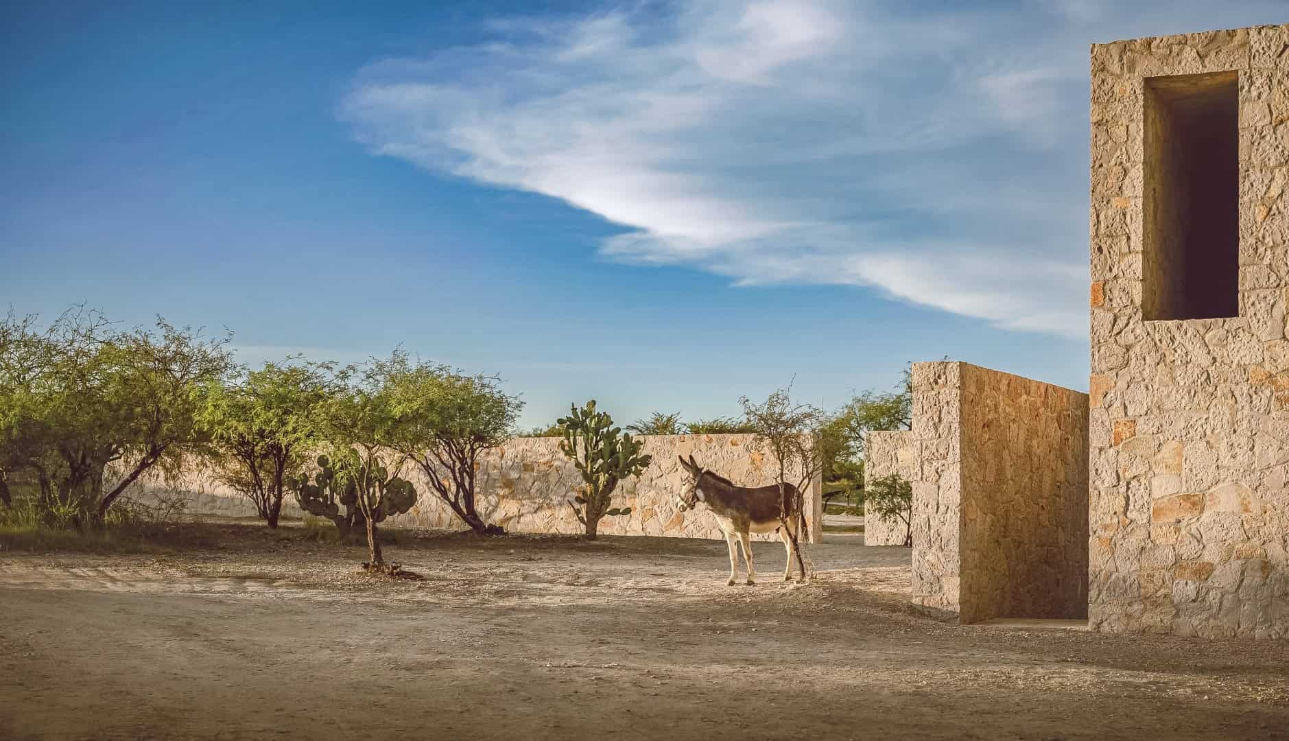 Heron Island No. 1 by BDSD Boundless Design: A Tranquil Villa Embracing Nature Heron Island No. 1 by BDSD Boundless Design: A Tranquil Villa Embracing Nature