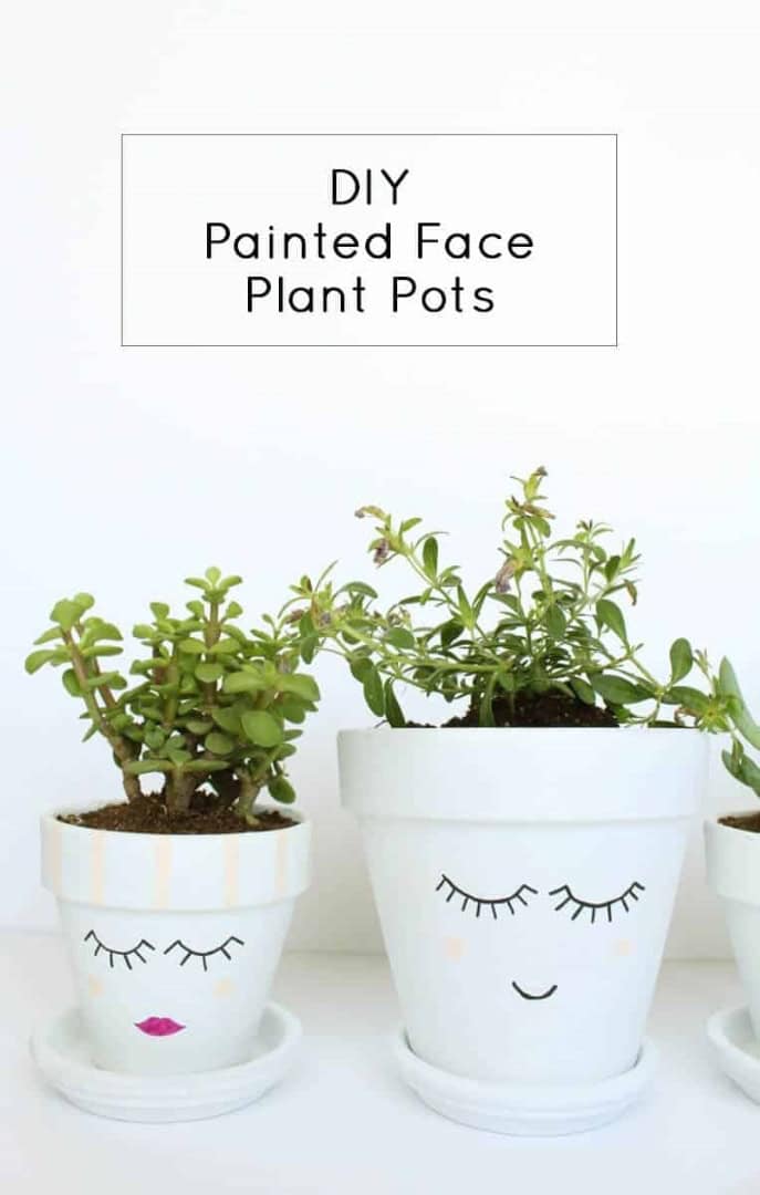 15 Functional DIY Flower Pot Projects That Add Flair and Function 15 Functional DIY Flower Pot Projects That Add Flair and Function