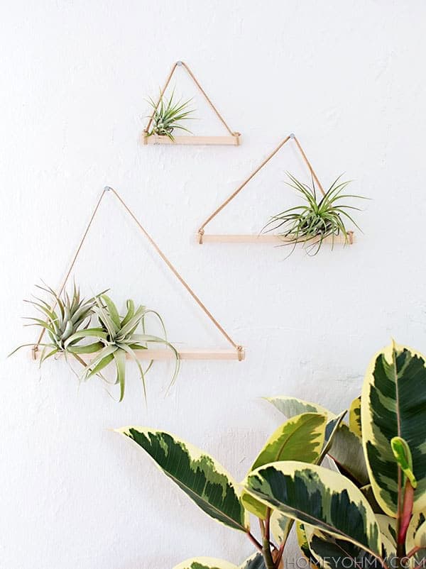 Geometric air plant hangers Geometric air plant hangers