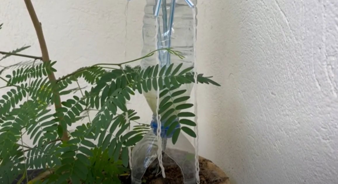 14. DIY drip irrigation system 14. DIY drip irrigation system