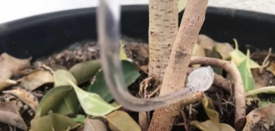 15. Drip Water Irrigation System 15. Drip Water Irrigation System