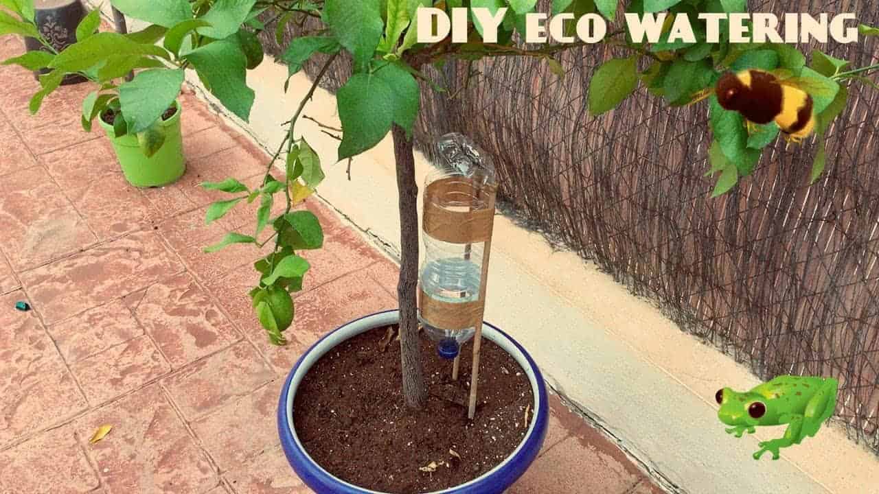 2. DIY self-watering system for potted plants and trees 2. DIY self-watering system for potted plants and trees