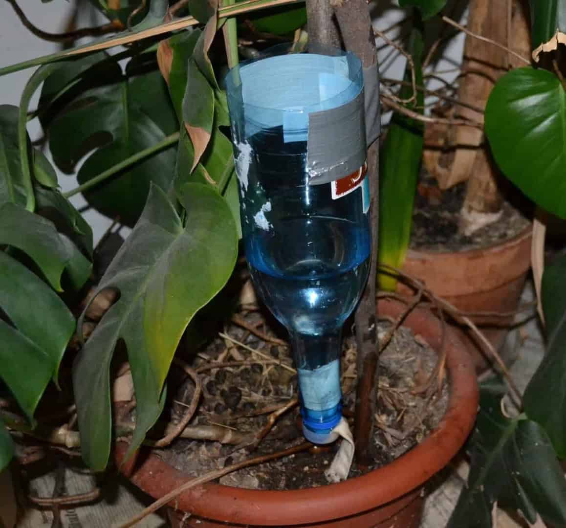 7. Adjustable DIY drip watering system 7. Adjustable DIY drip watering system