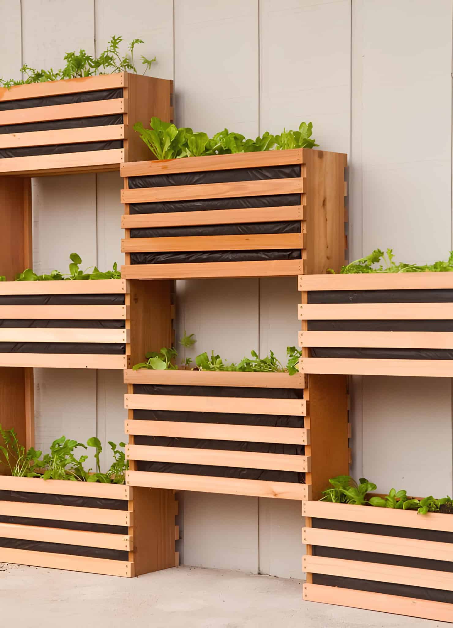 Stacked wooden planter boxes filled with fresh greens against a light wall