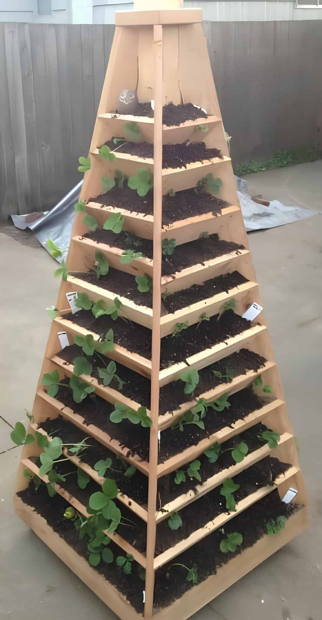 Wooden pyramid vertical garden with tiered planting sections