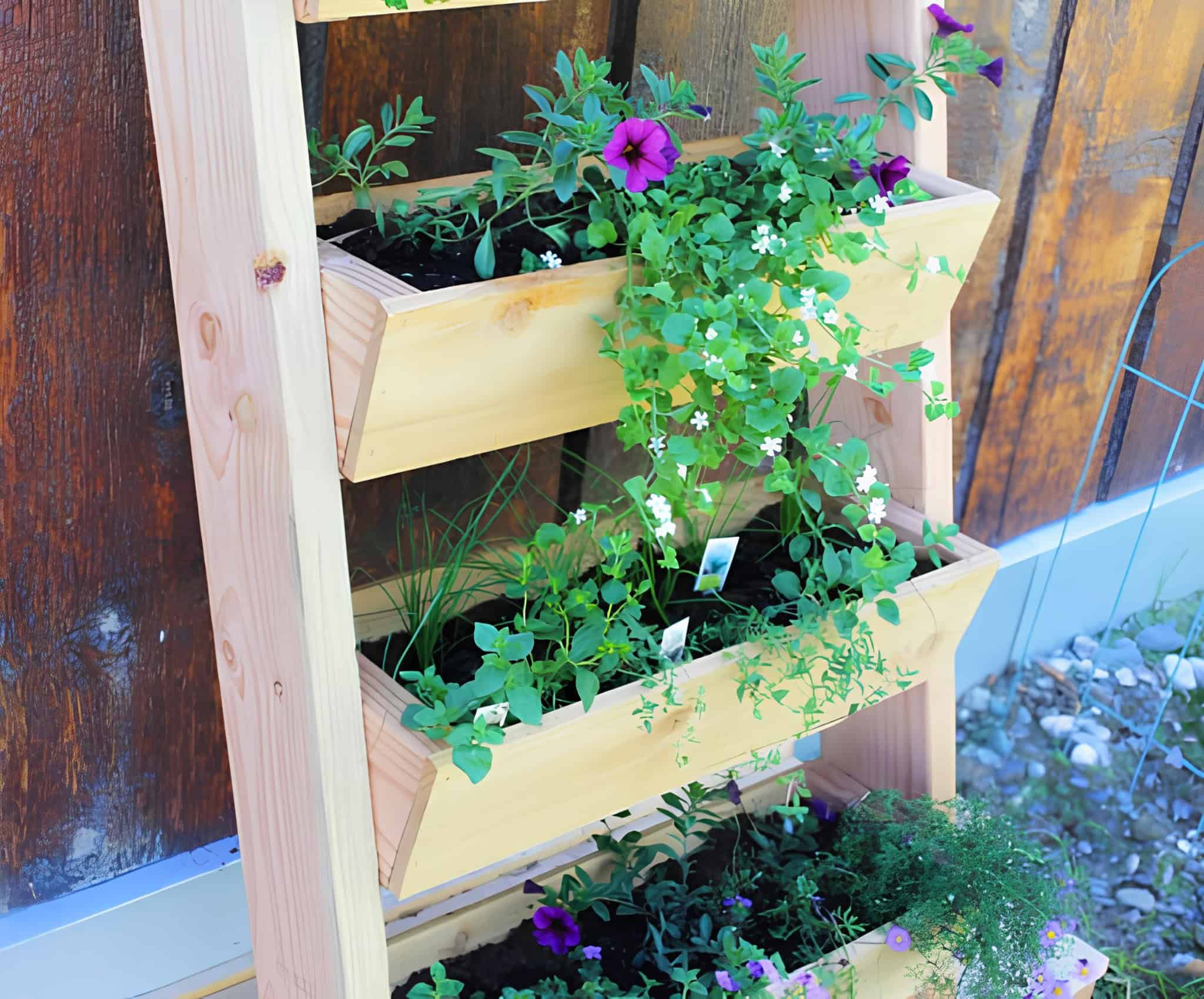 Rustic wood ladder with angled flower boxes planted with greens and florals