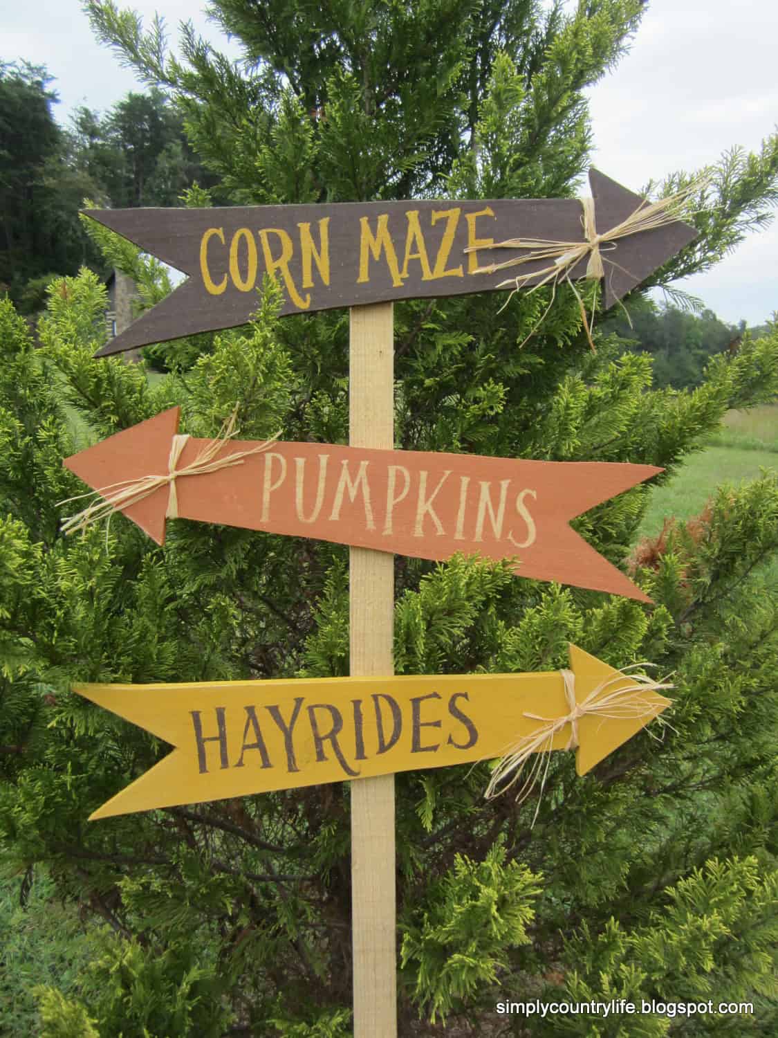 15 Charming DIY Fall Decor Ideas Anyone Can Craft 15 Charming DIY Fall Decor Ideas Anyone Can Craft