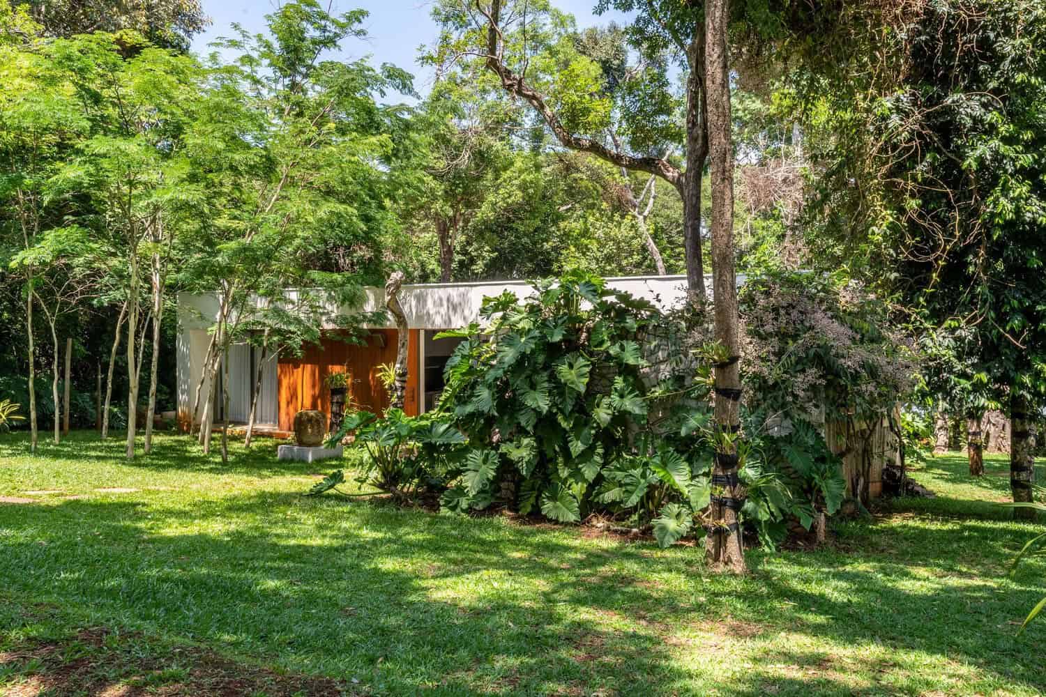 Monteiro House by Mateus Monteiro: A Tranquil Forest Retreat in Brazil Monteiro House by Mateus Monteiro: A Tranquil Forest Retreat in Brazil