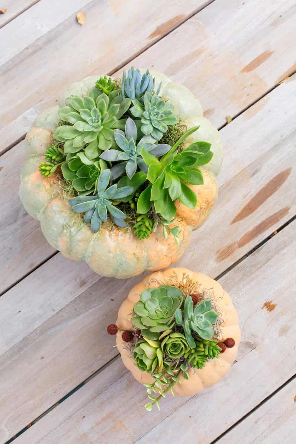 DIY Halloween Decor – Create a Garland for a Festive Touch DIY Halloween Decor – Create a Garland for a Festive Touch