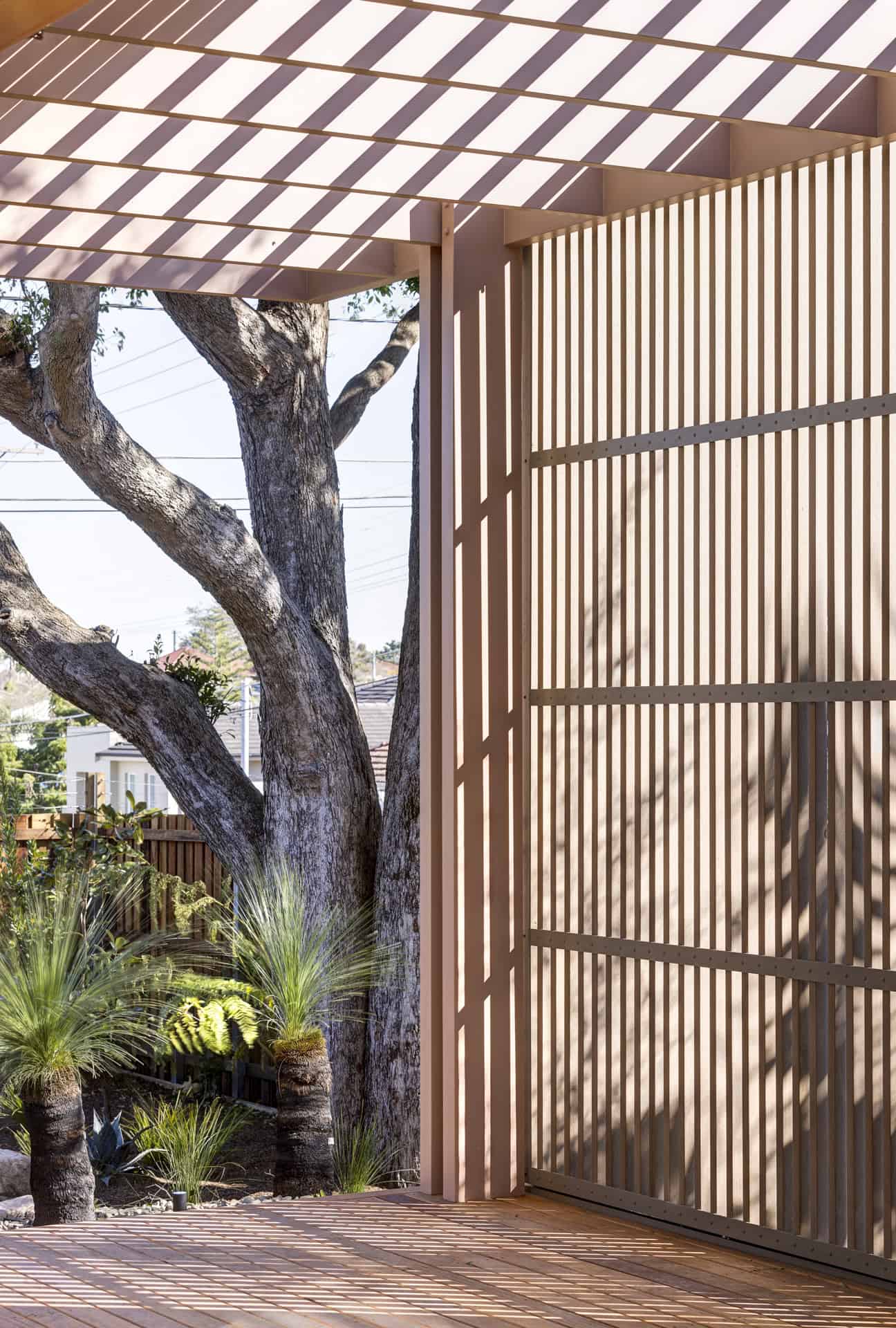 Canopy CLT House | Still Space Architecture | Putney, NSW, Australia Canopy CLT House | Still Space Architecture | Putney, NSW, Australia