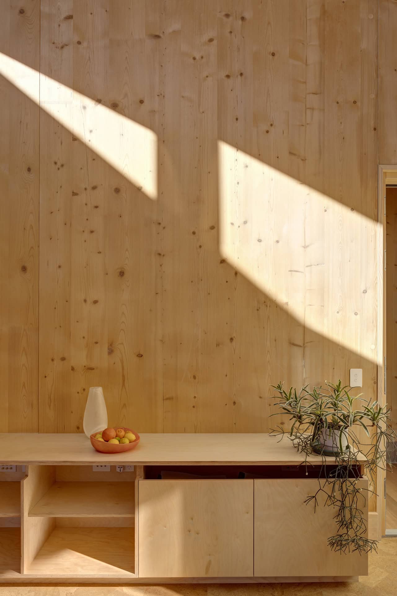 Canopy CLT House | Still Space Architecture | Putney, NSW, Australia Canopy CLT House | Still Space Architecture | Putney, NSW, Australia