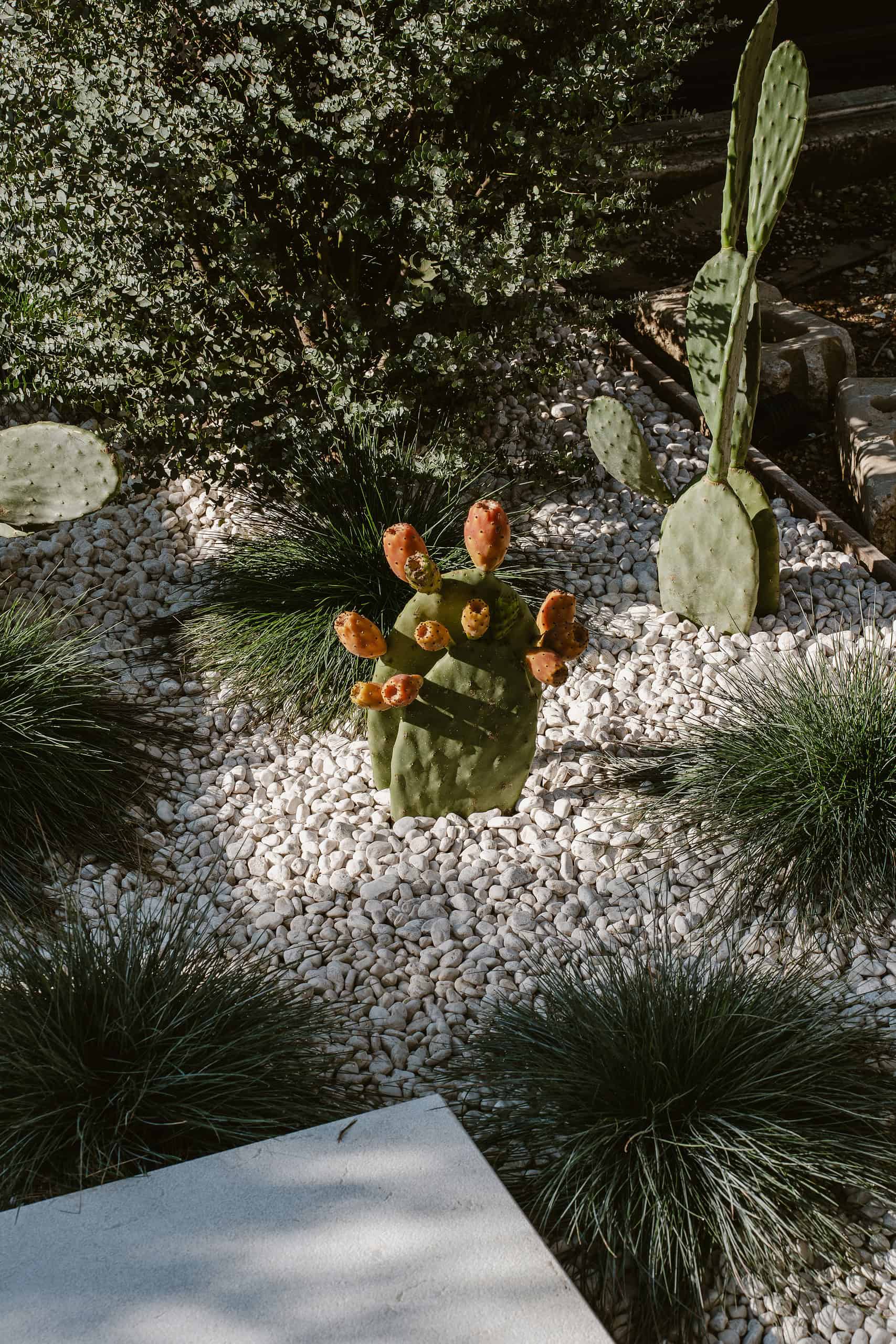 F+C House | Michele Perlini | Verona, Italy F+C House | Michele Perlini | Verona, Italy