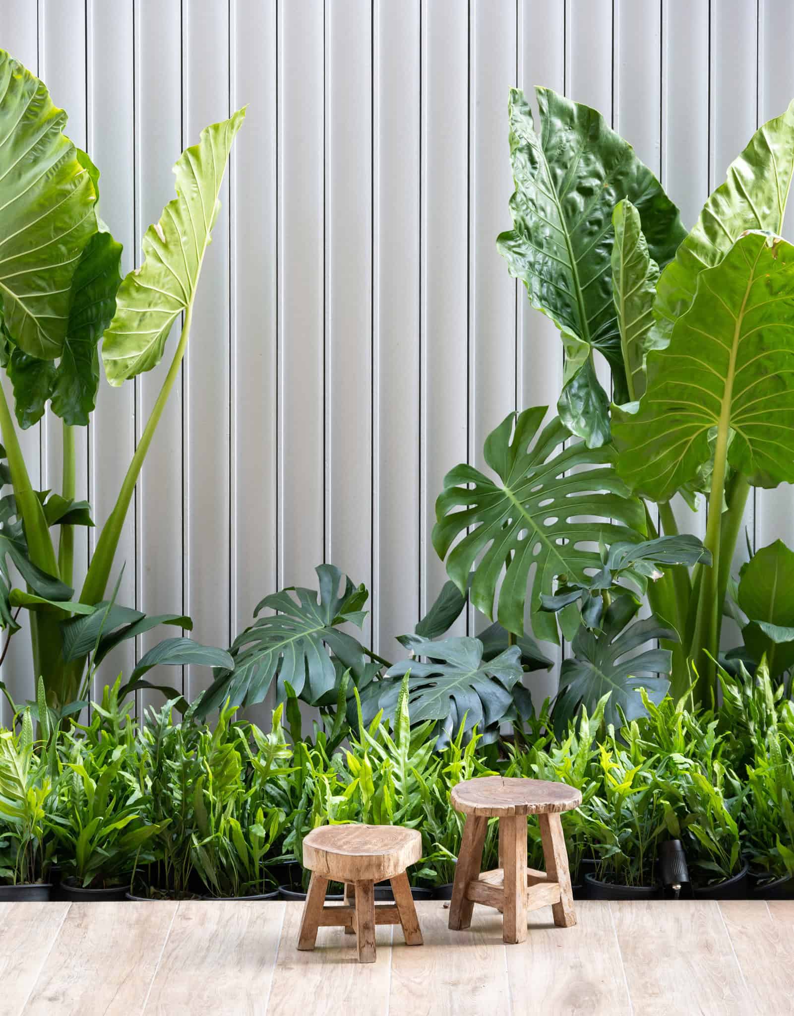 Full House | WARchitect | Bangkok, Thailand Full House | WARchitect | Bangkok, Thailand