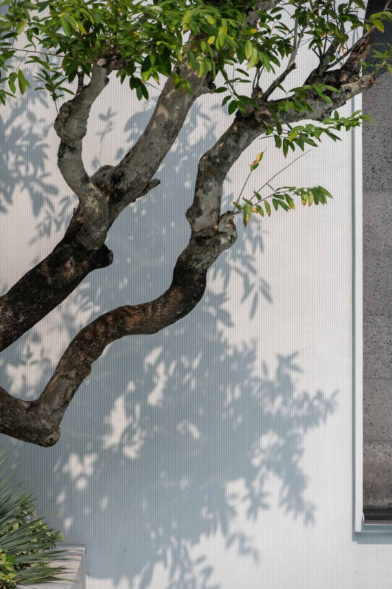 The Pavilion | WARchitect | Bangkok, Thailand The Pavilion | WARchitect | Bangkok, Thailand