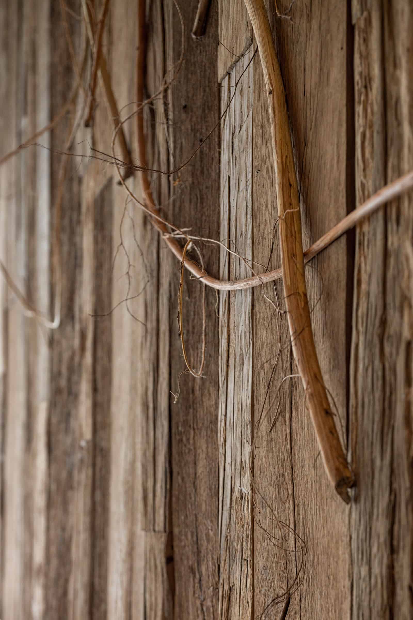 Coffee Shop Kovel Branch Ceiling Bar Counter Modern coffee bar with reflective stainless steel and organic twig ceiling decor