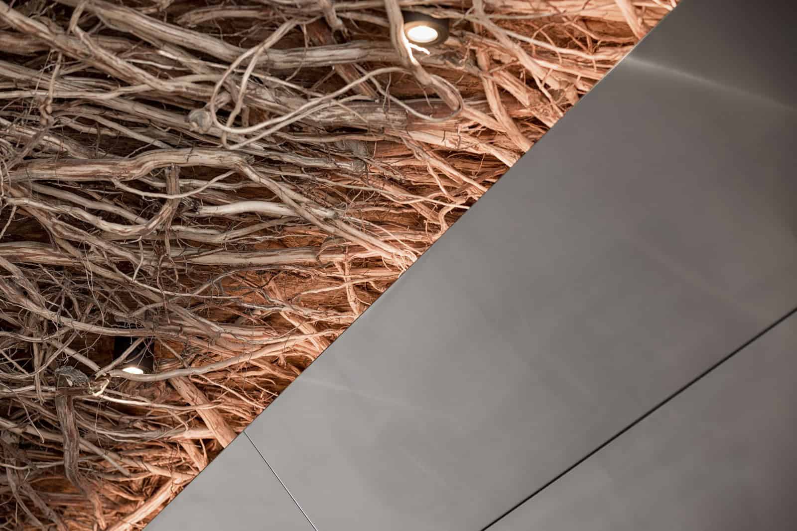 Coffee Shop Kovel Ceiling Branch Detail Detailed view of organic branch ceiling with warm lighting accents